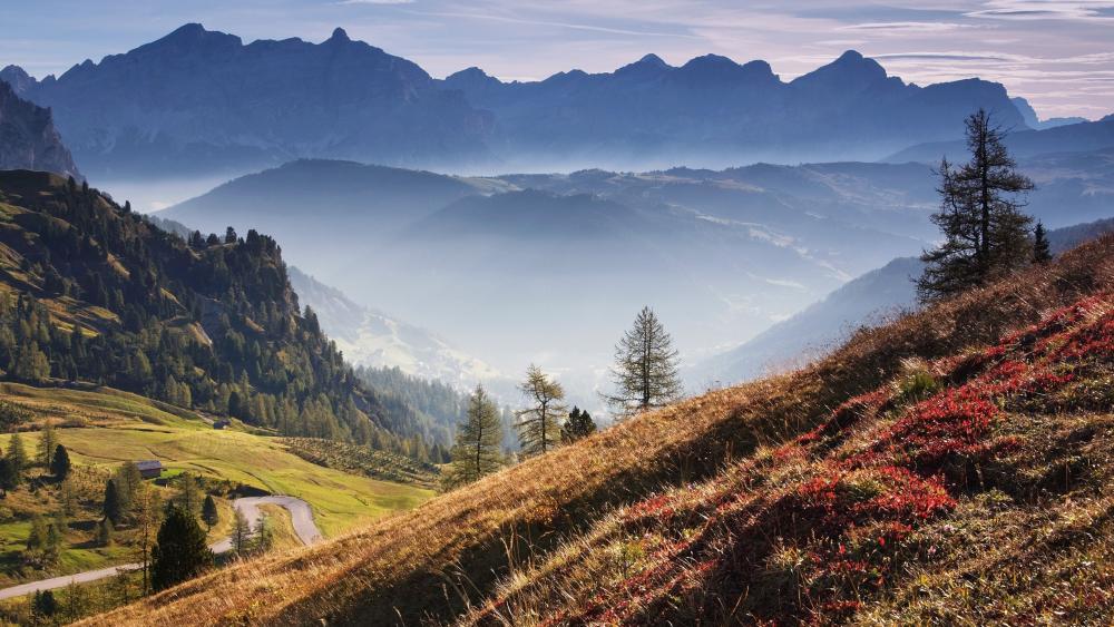 Majestic Alpine Valley Views in Stunning 4K wallpaper