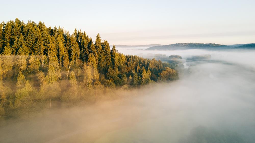 Misty Valleys and Whispering Pines wallpaper