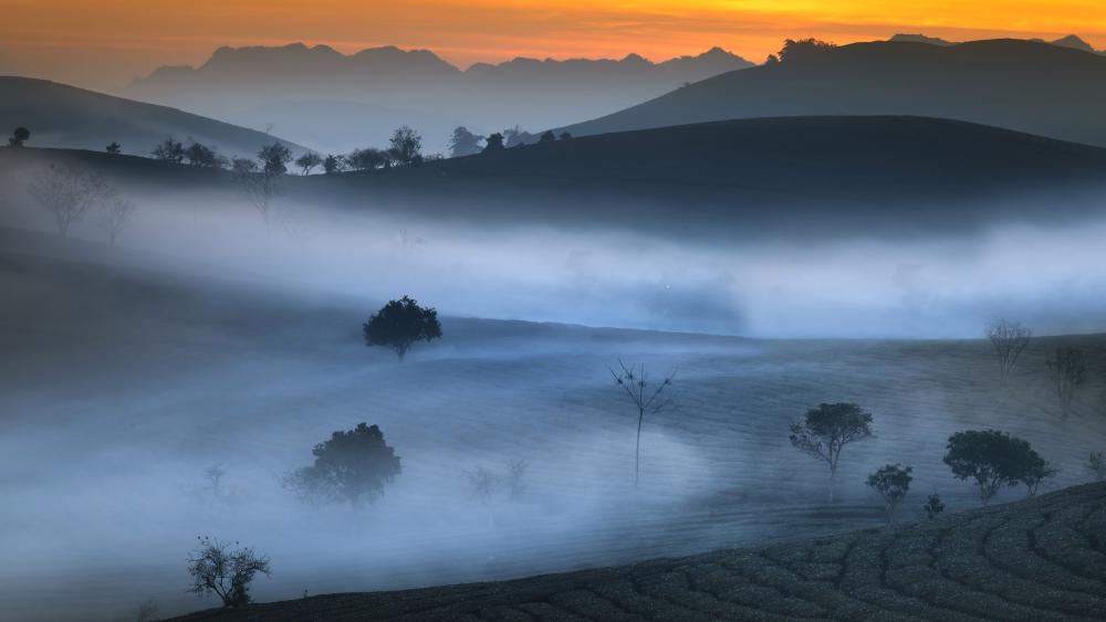 Mystical Sunset Over a Foggy Landscape wallpaper