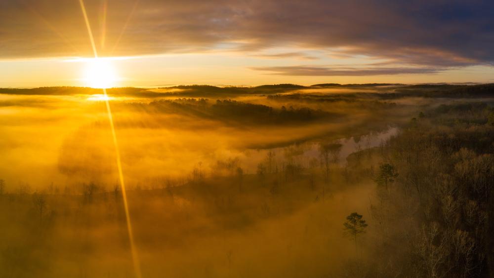 Golden Mist Over Tranquil Landscape wallpaper