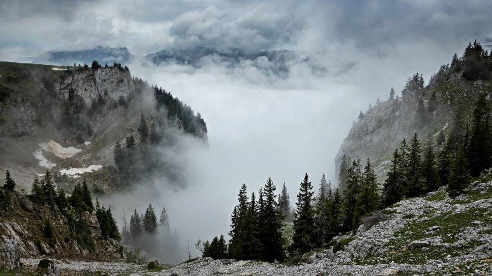 Mist-Covered Mountain Valley Panorama wallpaper