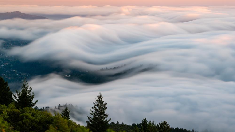 Sea of Clouds at Dawn wallpaper