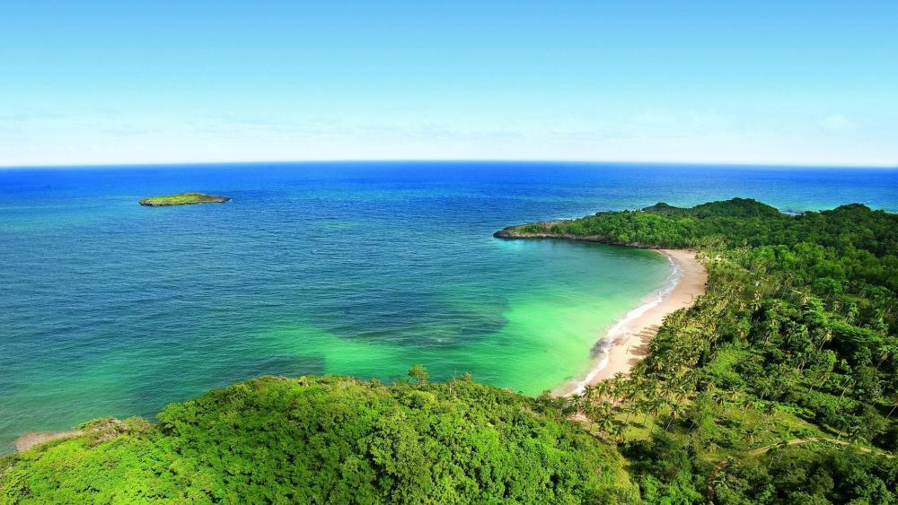 Serene Tropical Coastline with Verdant Forest and Blue Sea wallpaper