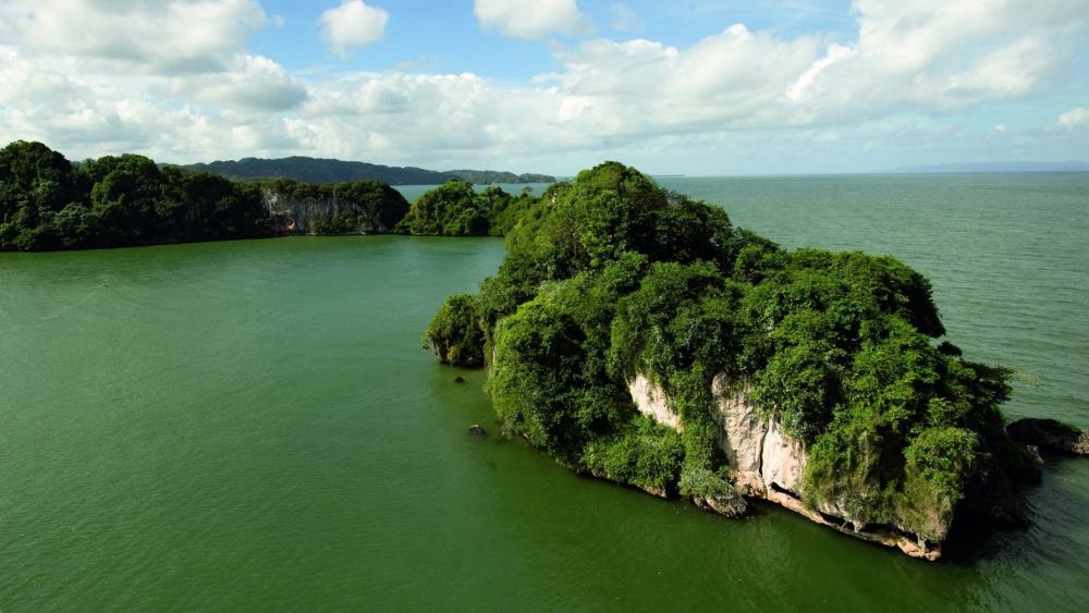 Serene Coastal Greenery and Tranquil Waters wallpaper