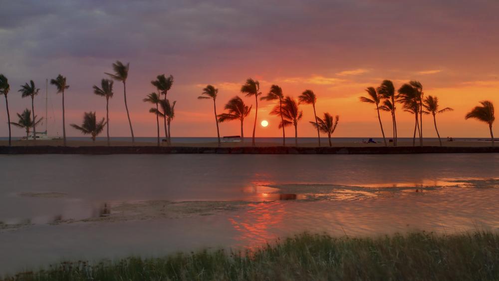Sunset Serenade in a Windy Dusk wallpaper