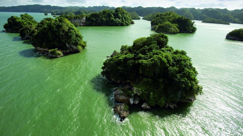 Islets of Verdant Wonder in Los Haitises National Park wallpaper
