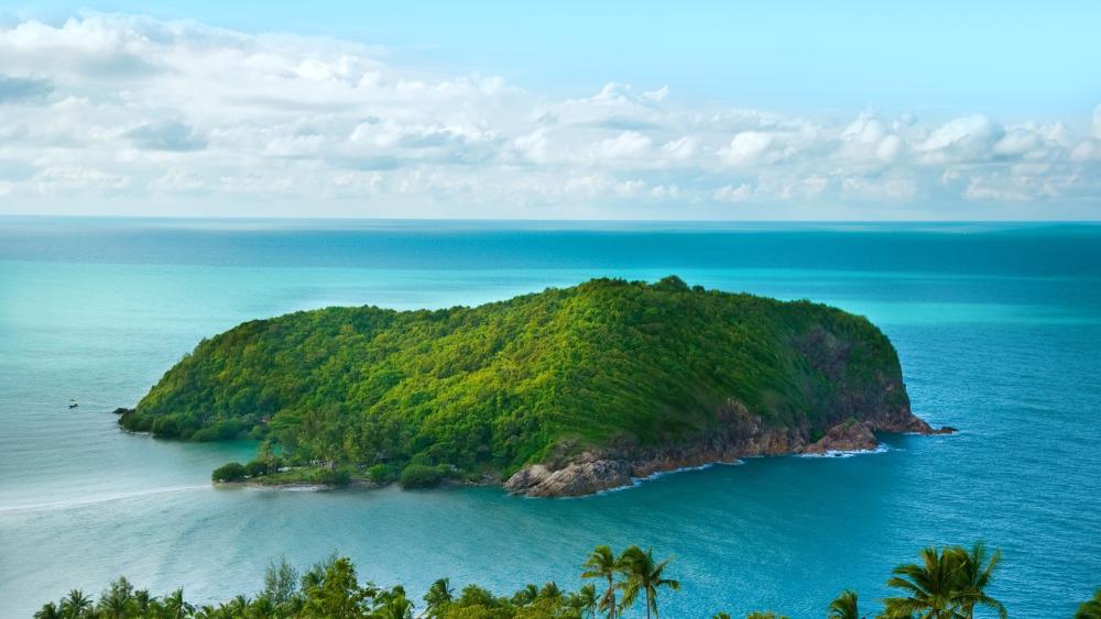 Caribbean Island Paradise: Azure Seas and Lush Greenery wallpaper