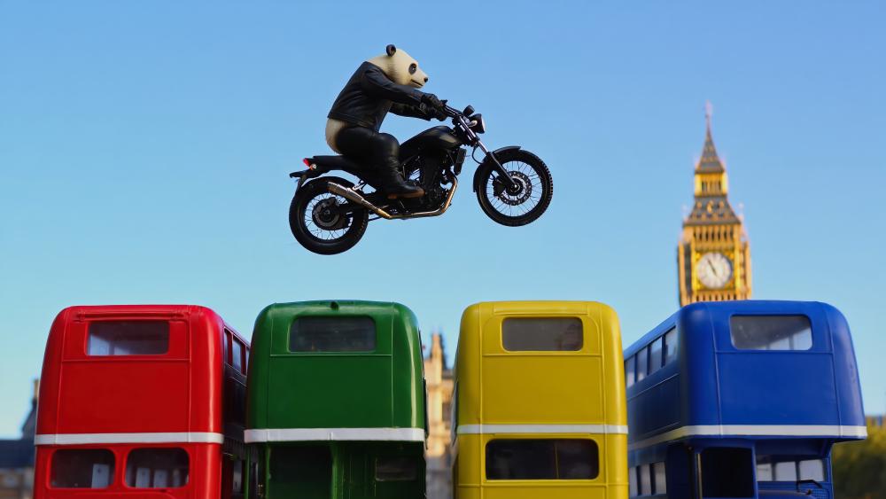 Panda Bears Jumping Buses wallpaper