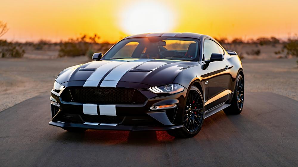 Racing Stripes wallpaper