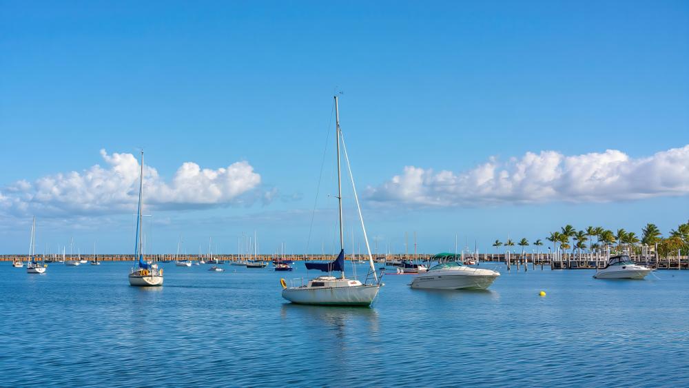 Boats On The Lake wallpaper