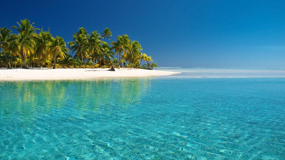 Tropical Paradise Escape on Azure Waters wallpaper