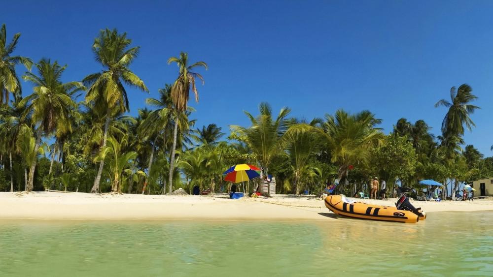 Tropical Beach Escape with Palm Trees and Clear Waters wallpaper