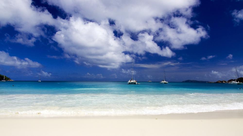 White Sands and Azure Waters Escape wallpaper