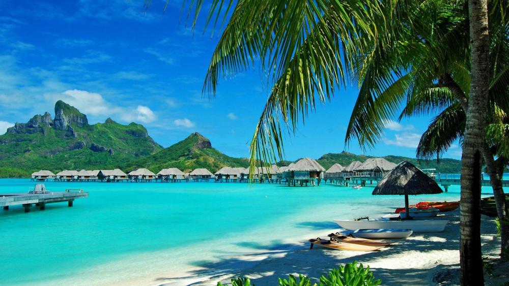 Tropical Paradise in Bora Bora wallpaper