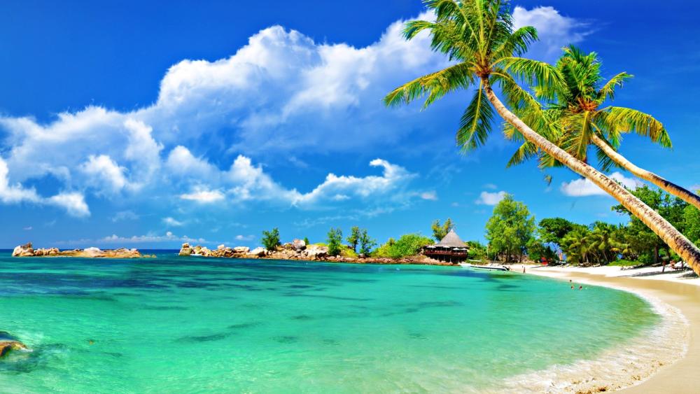 Tropical Paradise on Phu Quoc Island Shores wallpaper