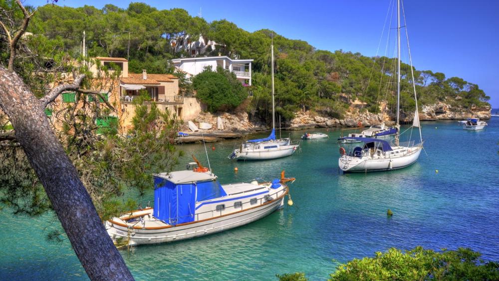 Serene Coastal Escape with Boats and Greenery wallpaper