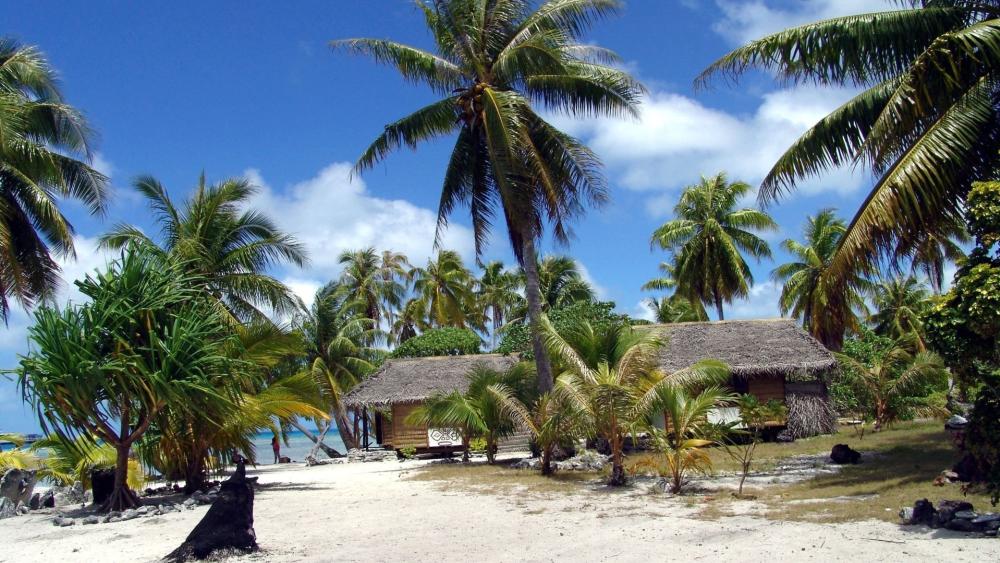 Tropical Beach Haven with Palm Trees and Huts wallpaper