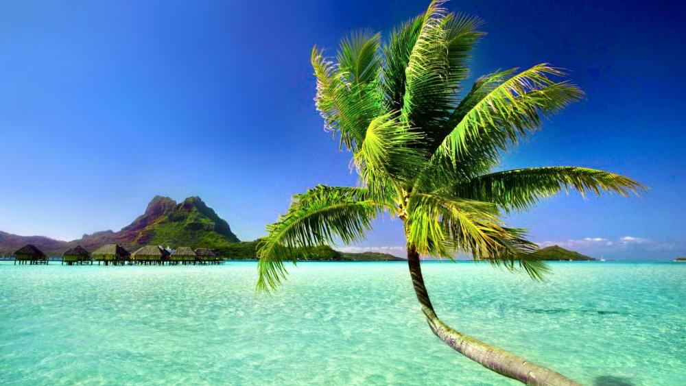 Tranquil Paradise in Bora Bora wallpaper