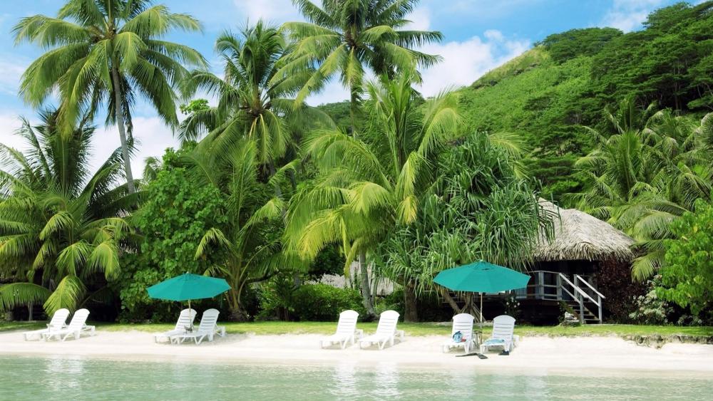 Tropical Paradise Retreat: Relax by the Coast wallpaper