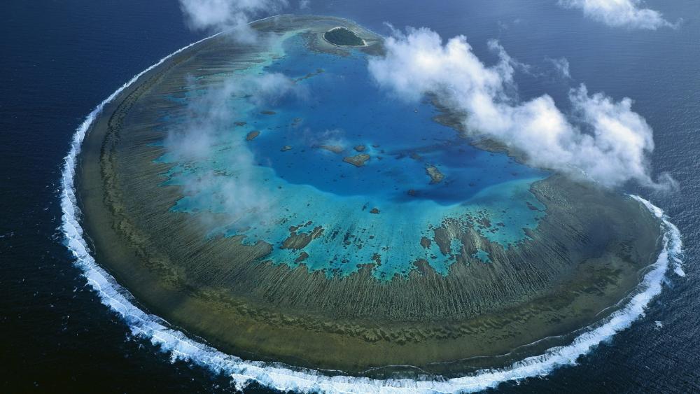 Lady Musgrave Island: Coral Wonderland wallpaper