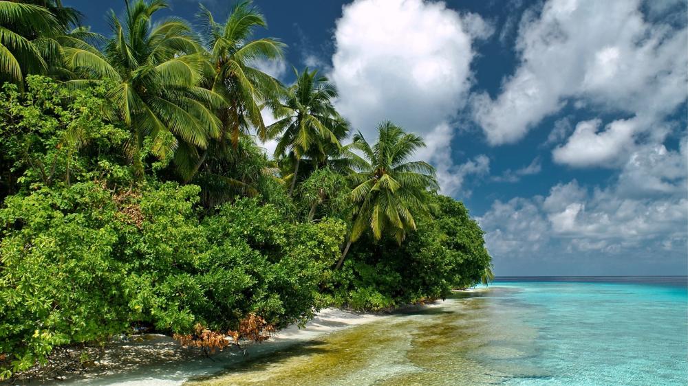 Tropical Paradise on Fihalhohi Island wallpaper