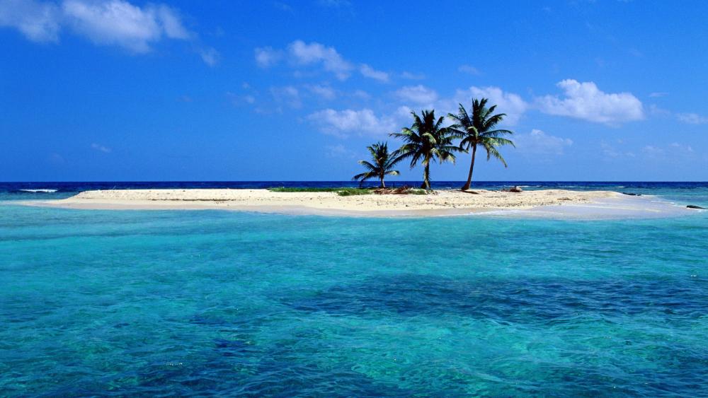 Tropical Paradise Islet View wallpaper