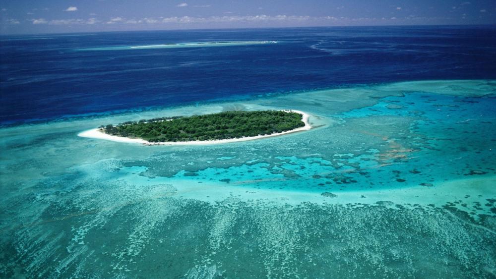 Coral Paradise in the Great Barrier Reef wallpaper