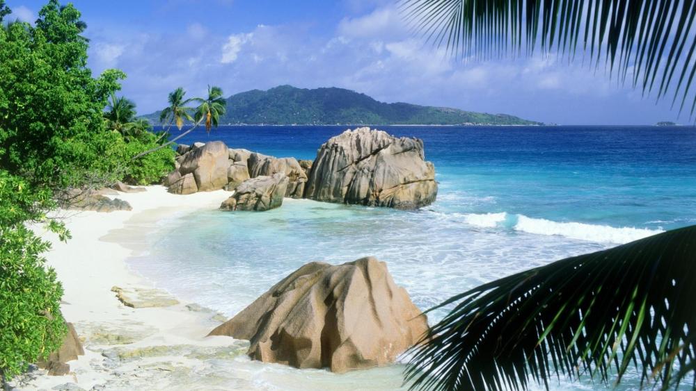 Tropical Paradise in La Digue Seychelles wallpaper