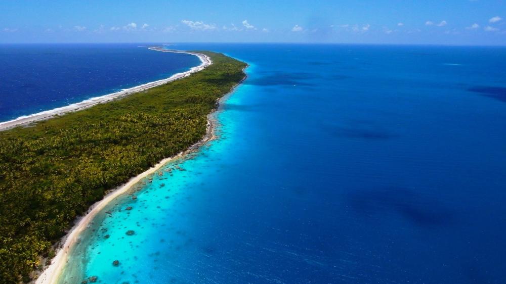 Tropical Paradise in Fakarava's Crystal Waters wallpaper