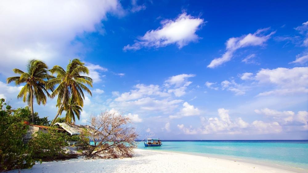 Peaceful Shores of the Nicobar Islands wallpaper