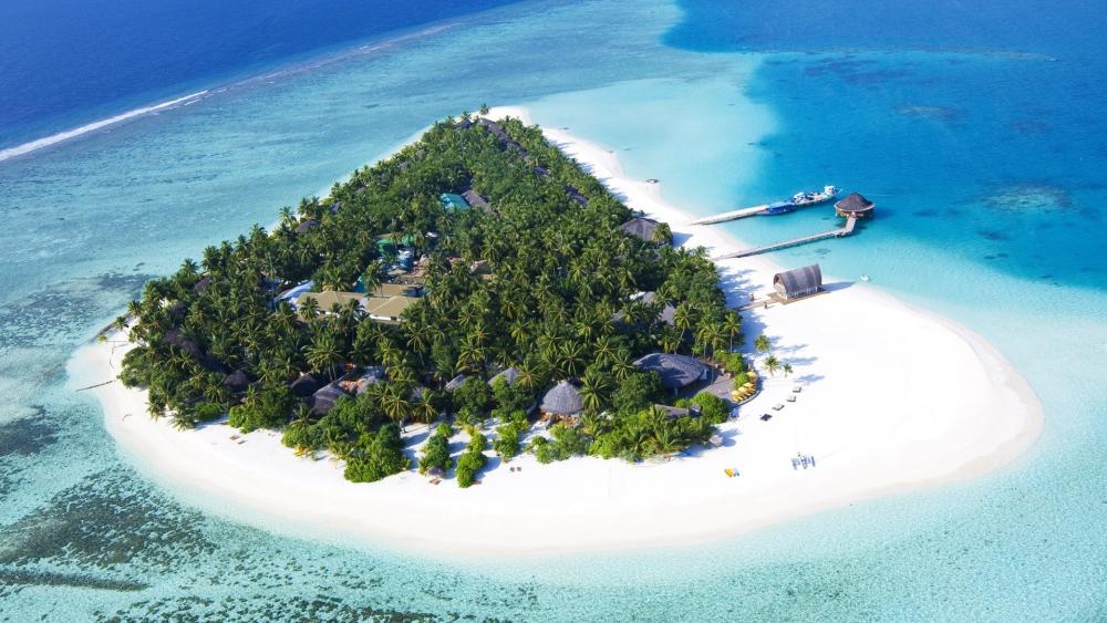 Tropical Island Paradise in the Maldives wallpaper