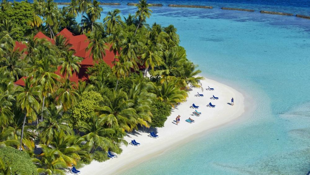 Tropical Escape in Kurumba Maldives Paradise wallpaper