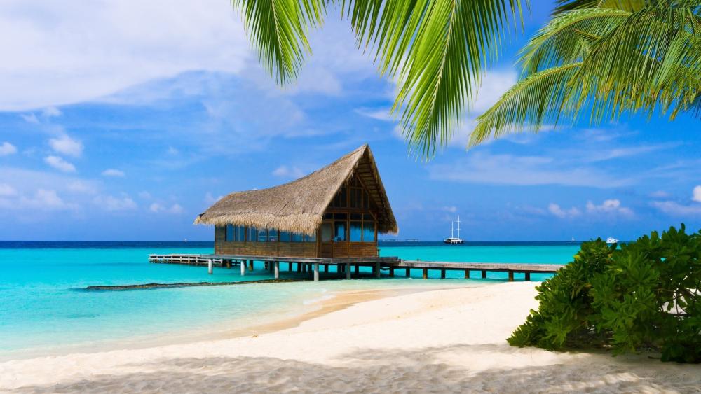 Tropical Paradise Escape in The Bahamas wallpaper