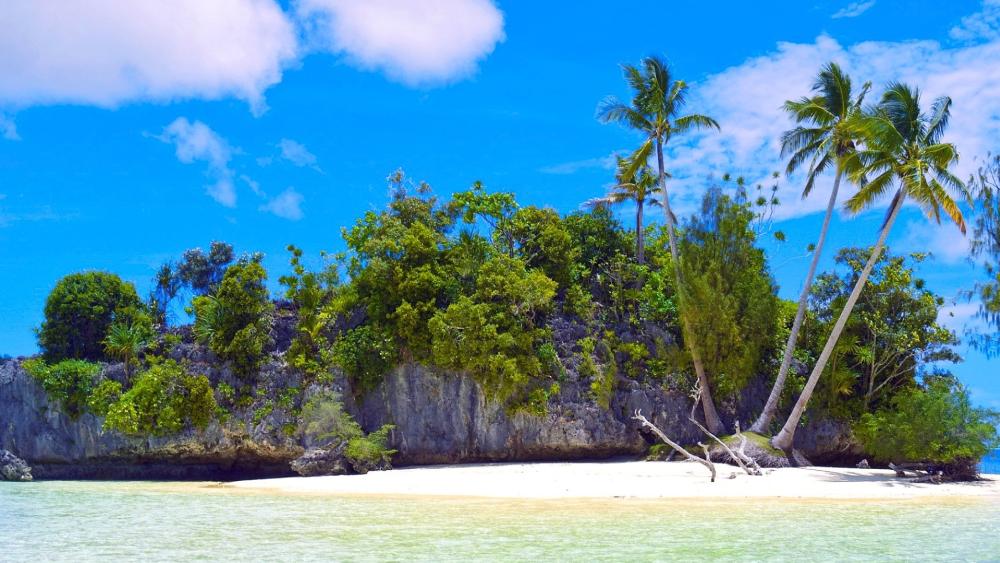 Tropical Paradise of Rock Islands in Palau wallpaper