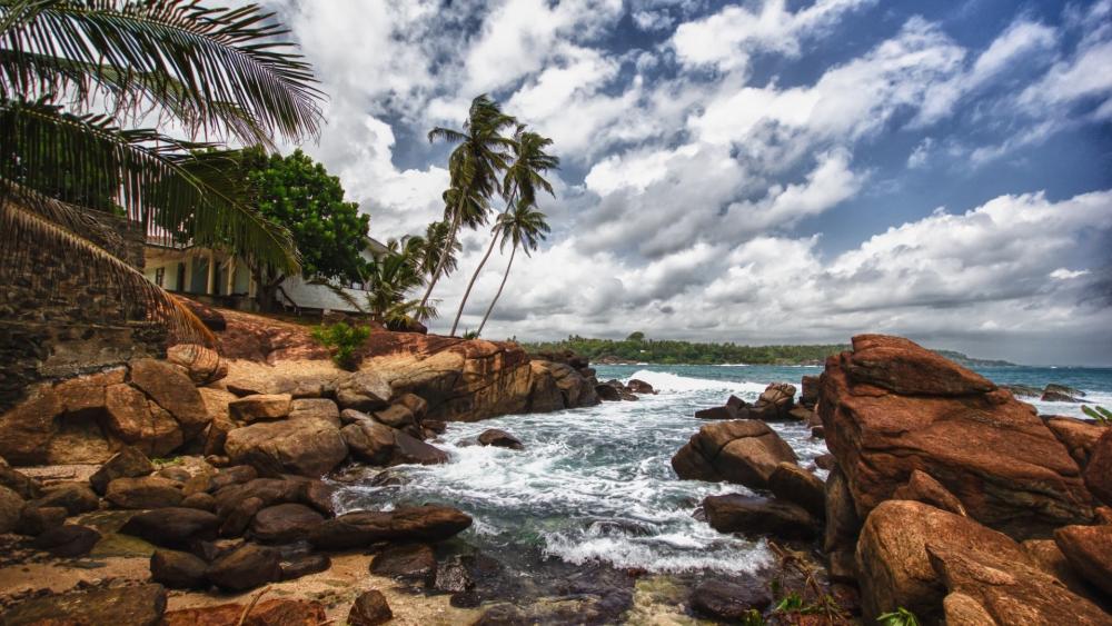 Serene Coastal Beauty of Sri Lanka wallpaper