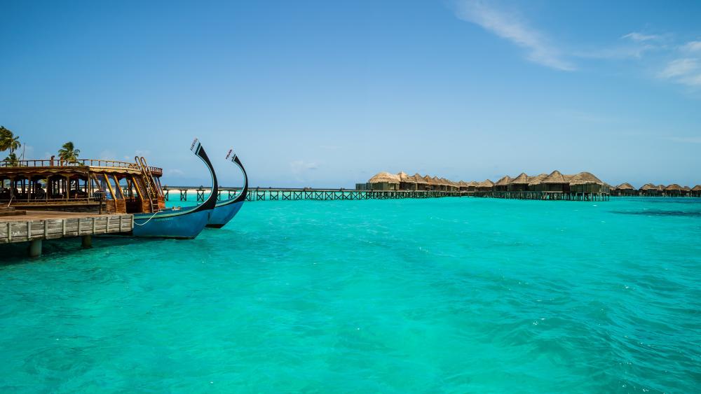 Turquoise Paradise at COMO Cocoa Island wallpaper