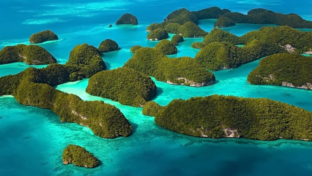 Raja Ampat's Pristine Paradise Islands and Oceanscape wallpaper