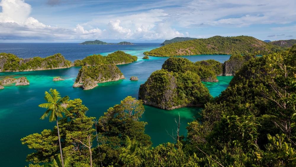 Enchanting Island Paradise in Indonesia wallpaper