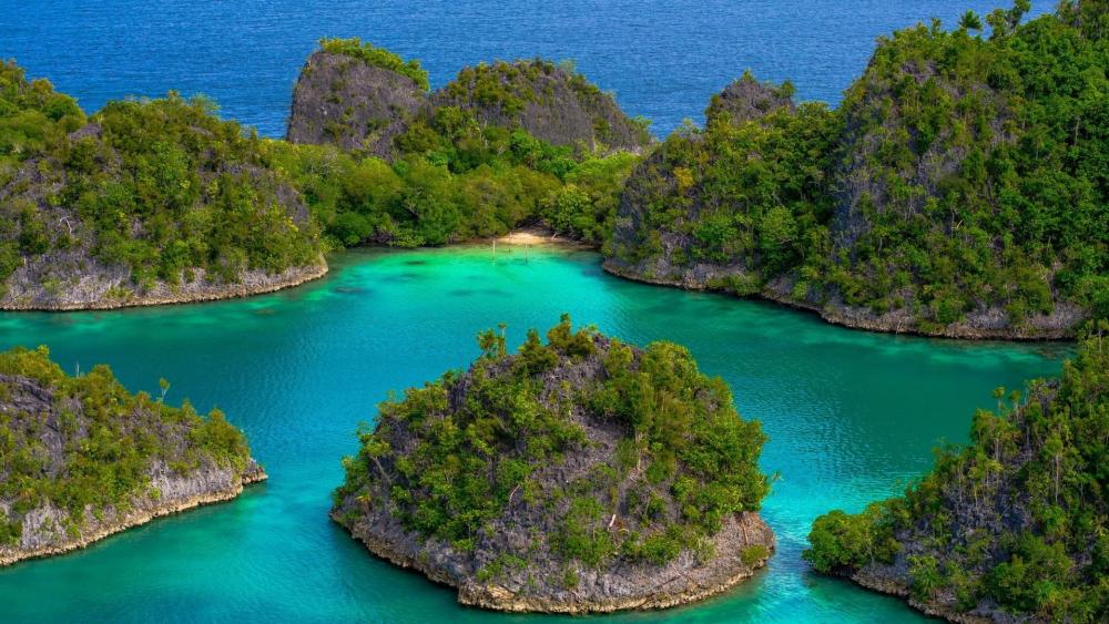 Raja Ampat’s Vibrant Lagoon Paradise wallpaper