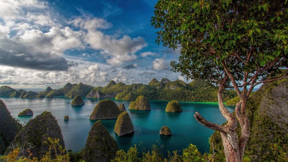 Islands of Serenity in Raja Ampat wallpaper