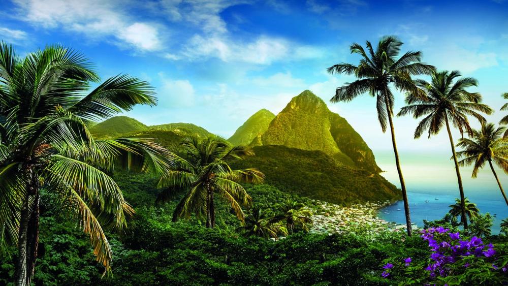 Tropical Mountain Escape: Lush Paradise Discoveries wallpaper