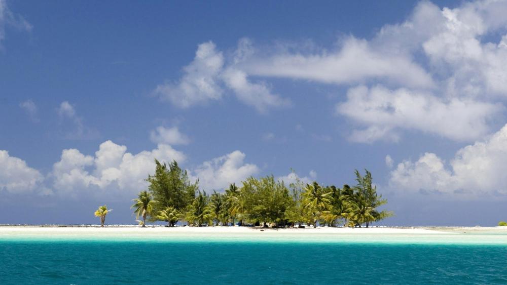 Idyllic Island Escape in the Maldives wallpaper