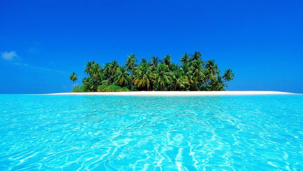 Tropical Paradise Escapade wallpaper