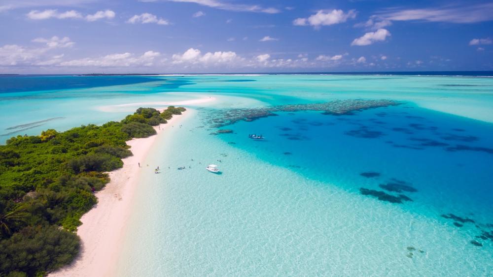 Tropical Paradise of Maafushi Island wallpaper