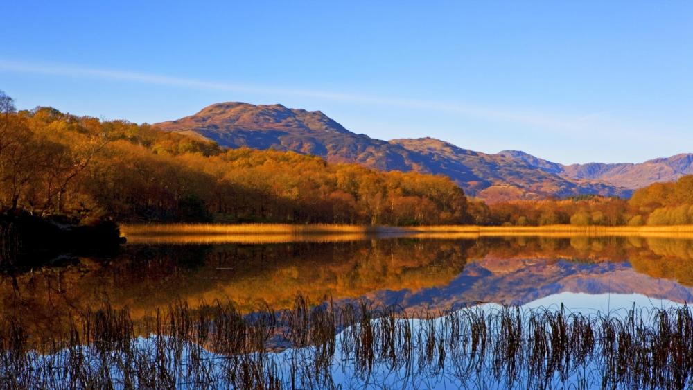 Loch Lomond's Autumn Reflections in Scotland's Tranquil Beauty wallpaper