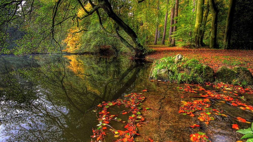 Autumn Serenity by the Lakeside wallpaper