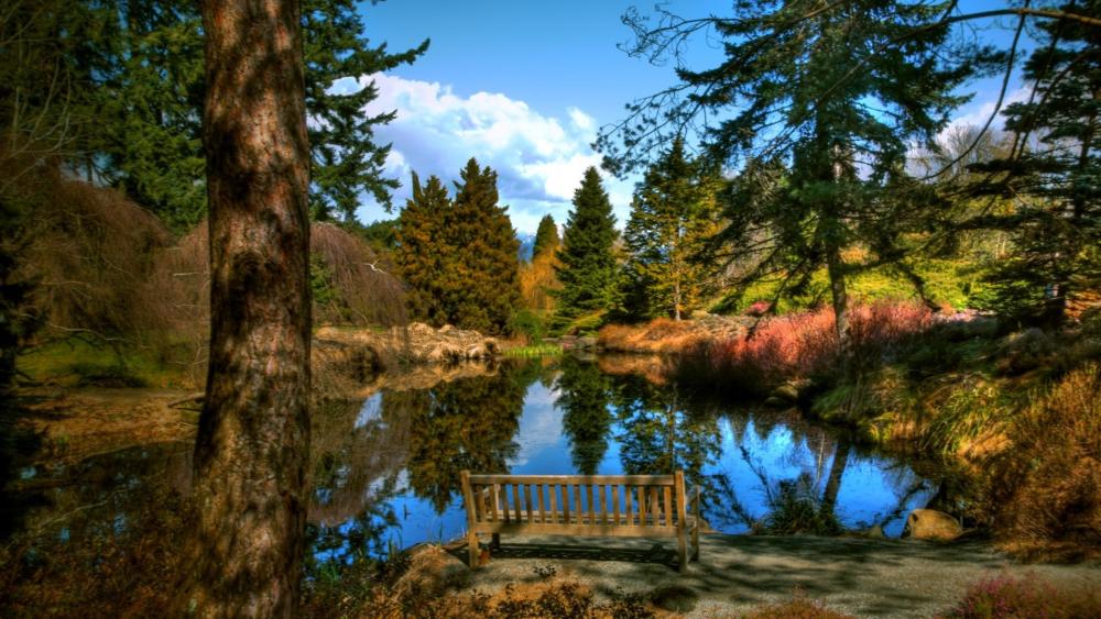 Tranquil Pondside Reflection with Bench View wallpaper