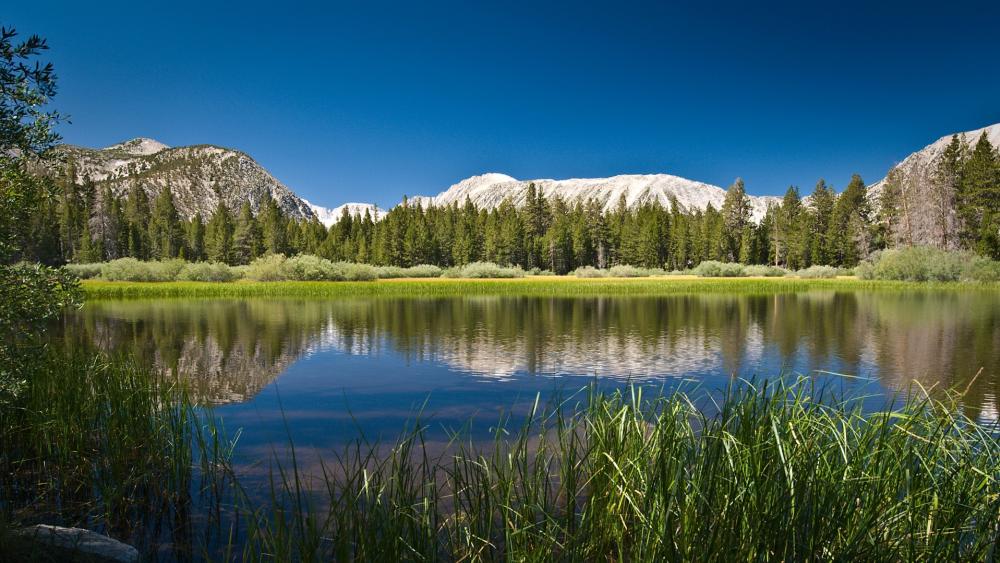 Tranquil Mountain Lakeside View wallpaper