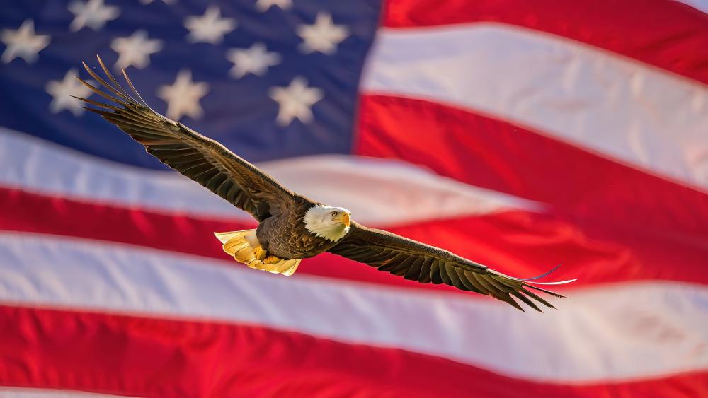 Majestic Bald Eagle Soaring over USA Flag wallpaper