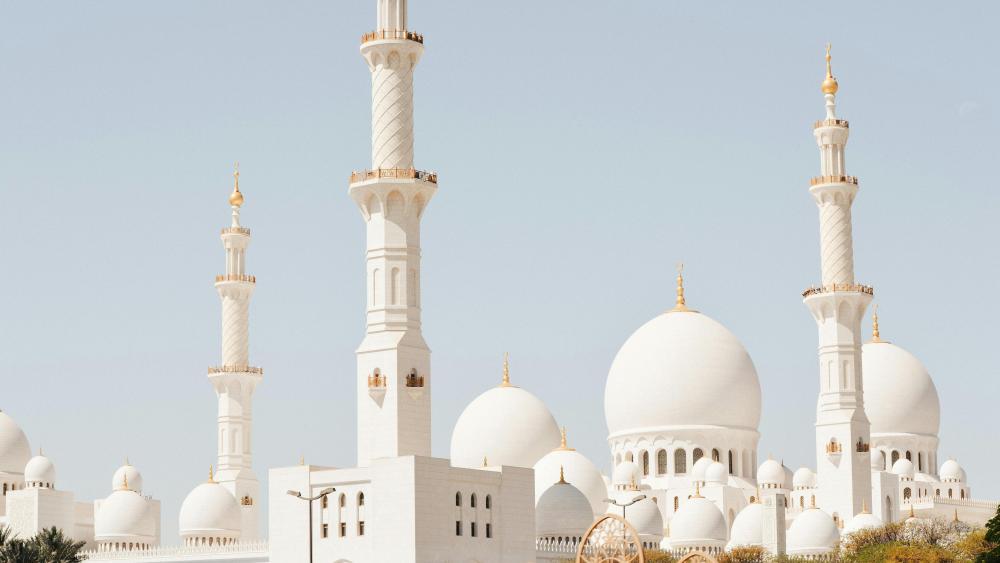 Sheikh Zayed Grand Mosque Splendor wallpaper